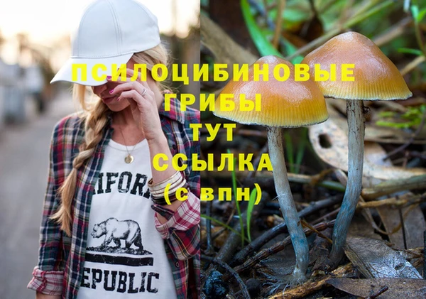 MESCALINE Магас