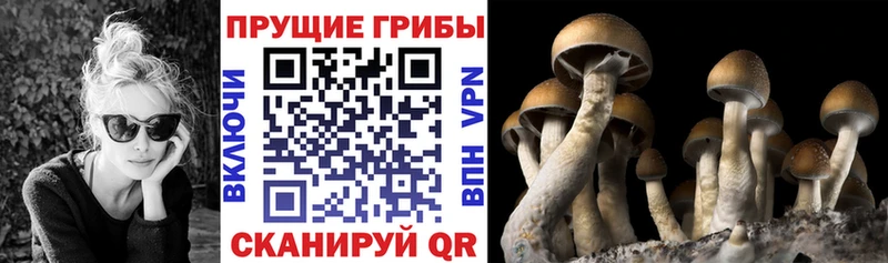 Псилоцибиновые грибы мухоморы Подпорожье